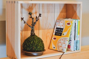 オンラインストア「響 hibi-ki STORE」がオープンしました
